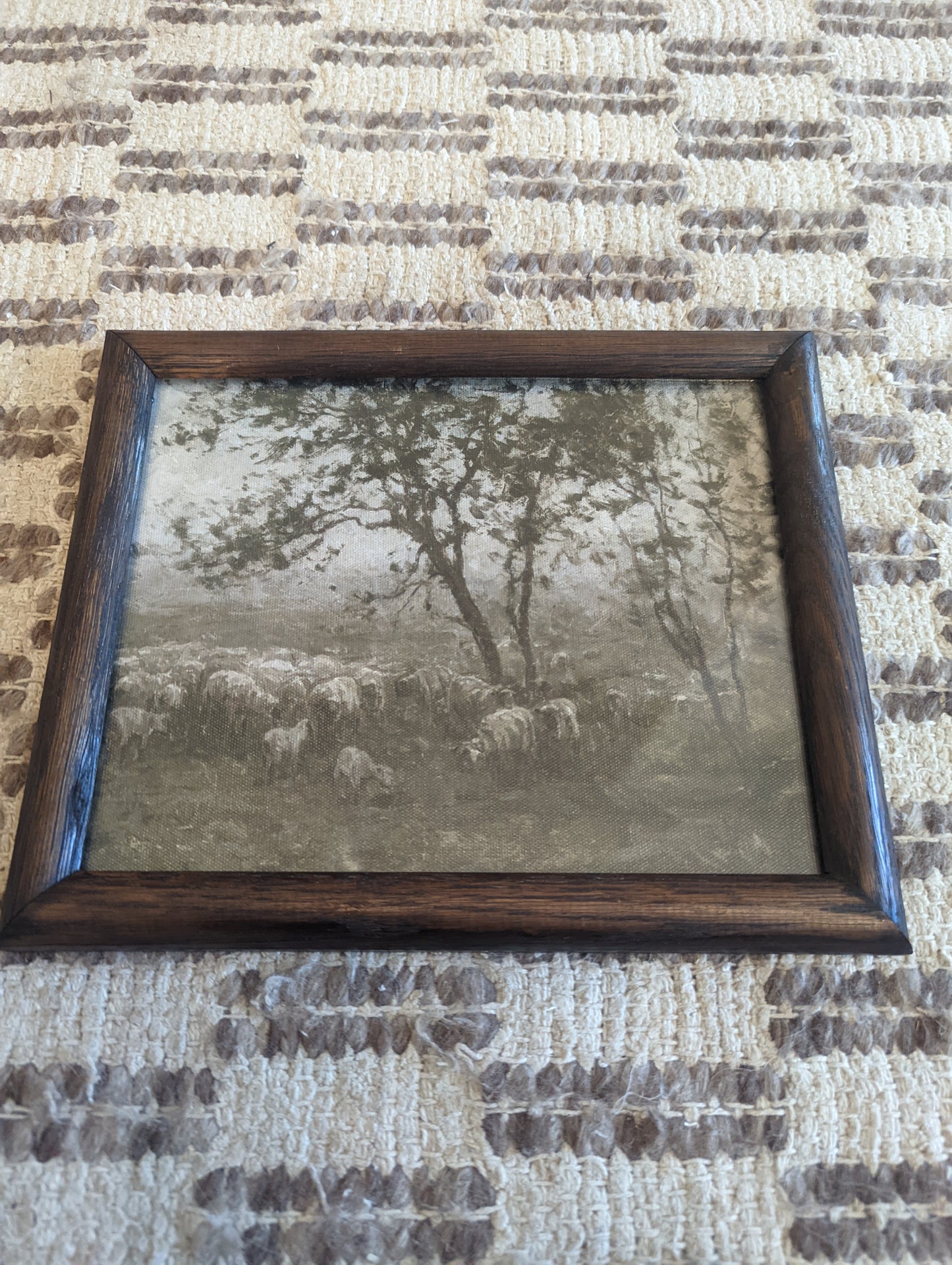 Sheep Print in Dark Frame (8x10)