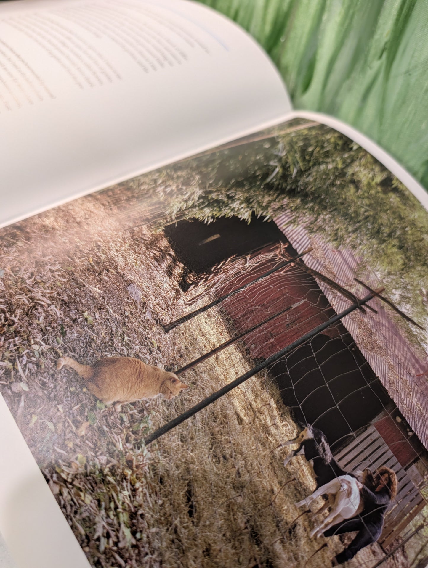 To Each His Home Hardback