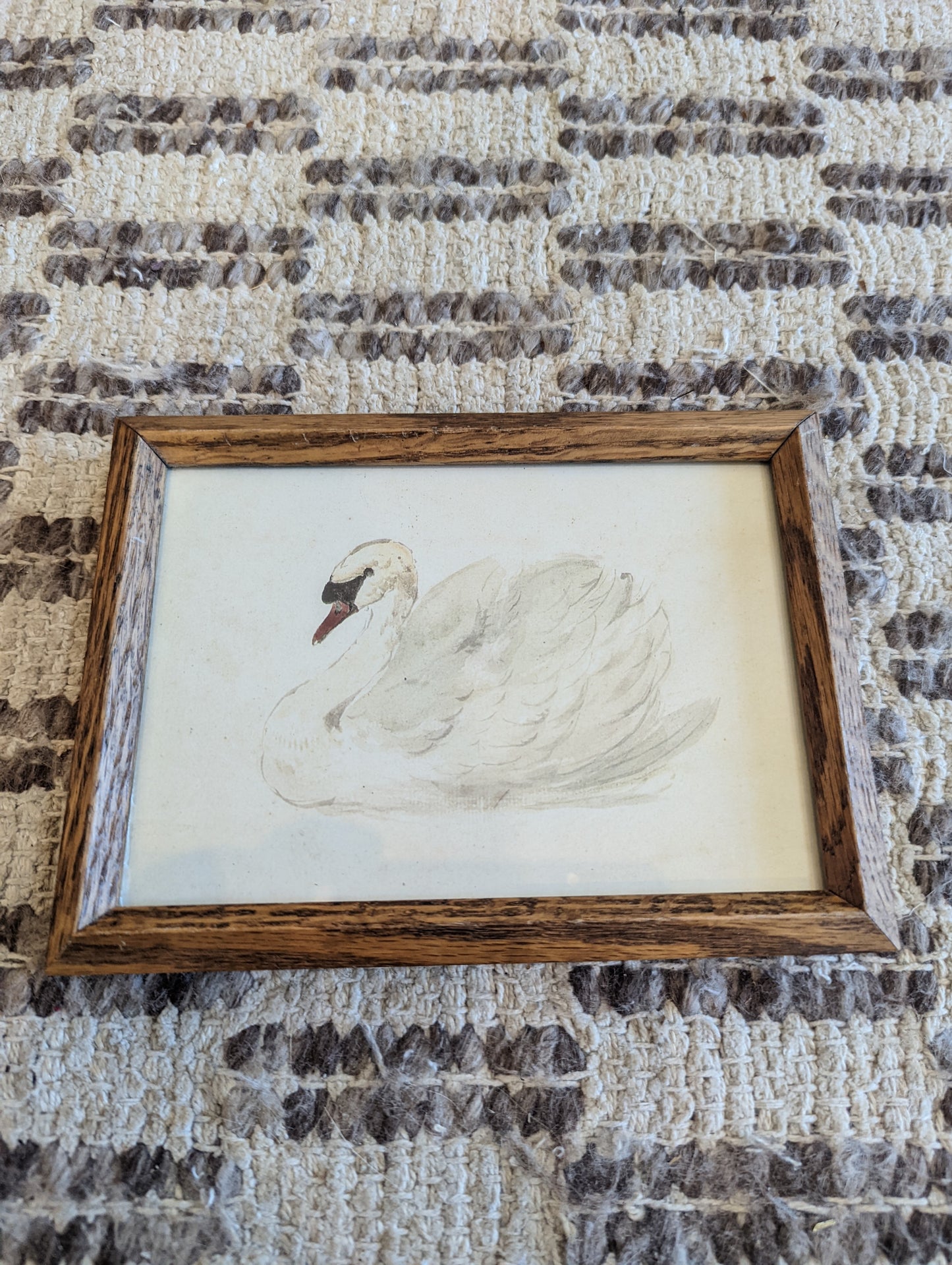Swan Print in Wood Frame (5x7)