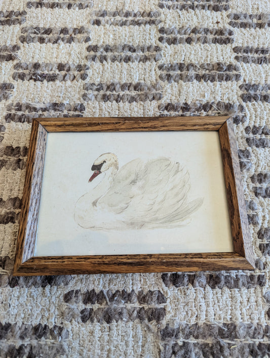 Swan Print in Wood Frame (5x7)