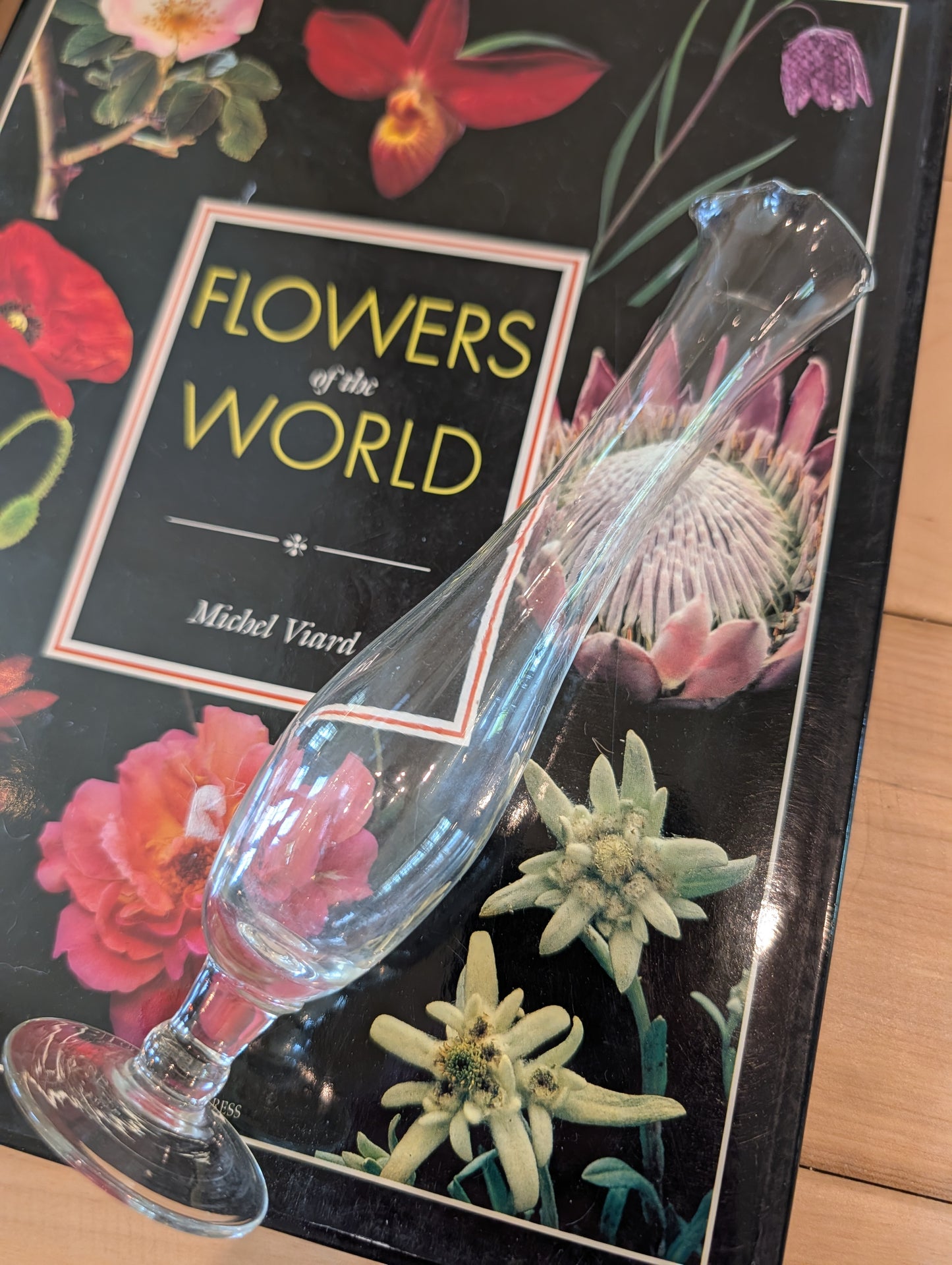 Clear Glass Bud Vase