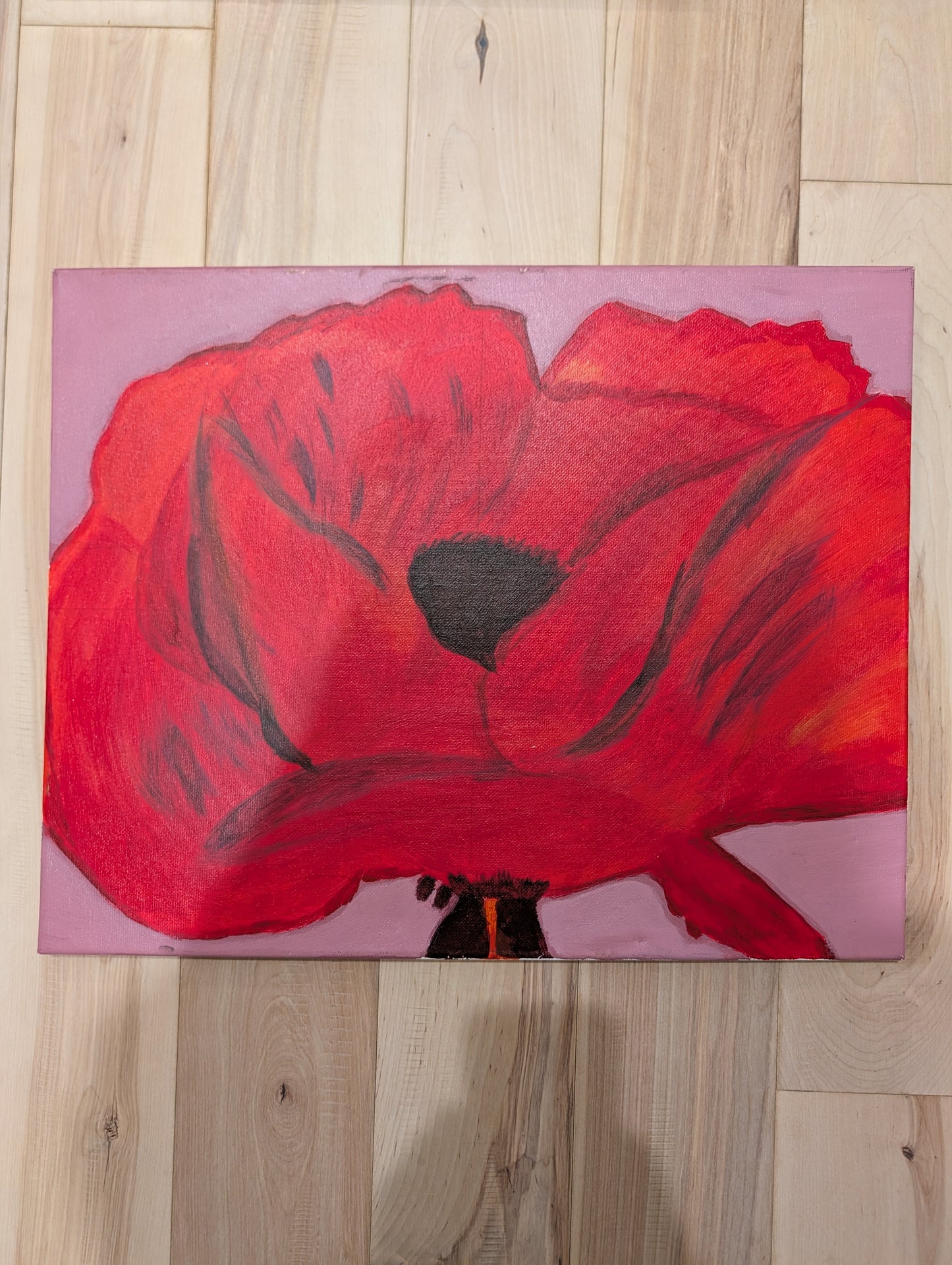 Red Poppy