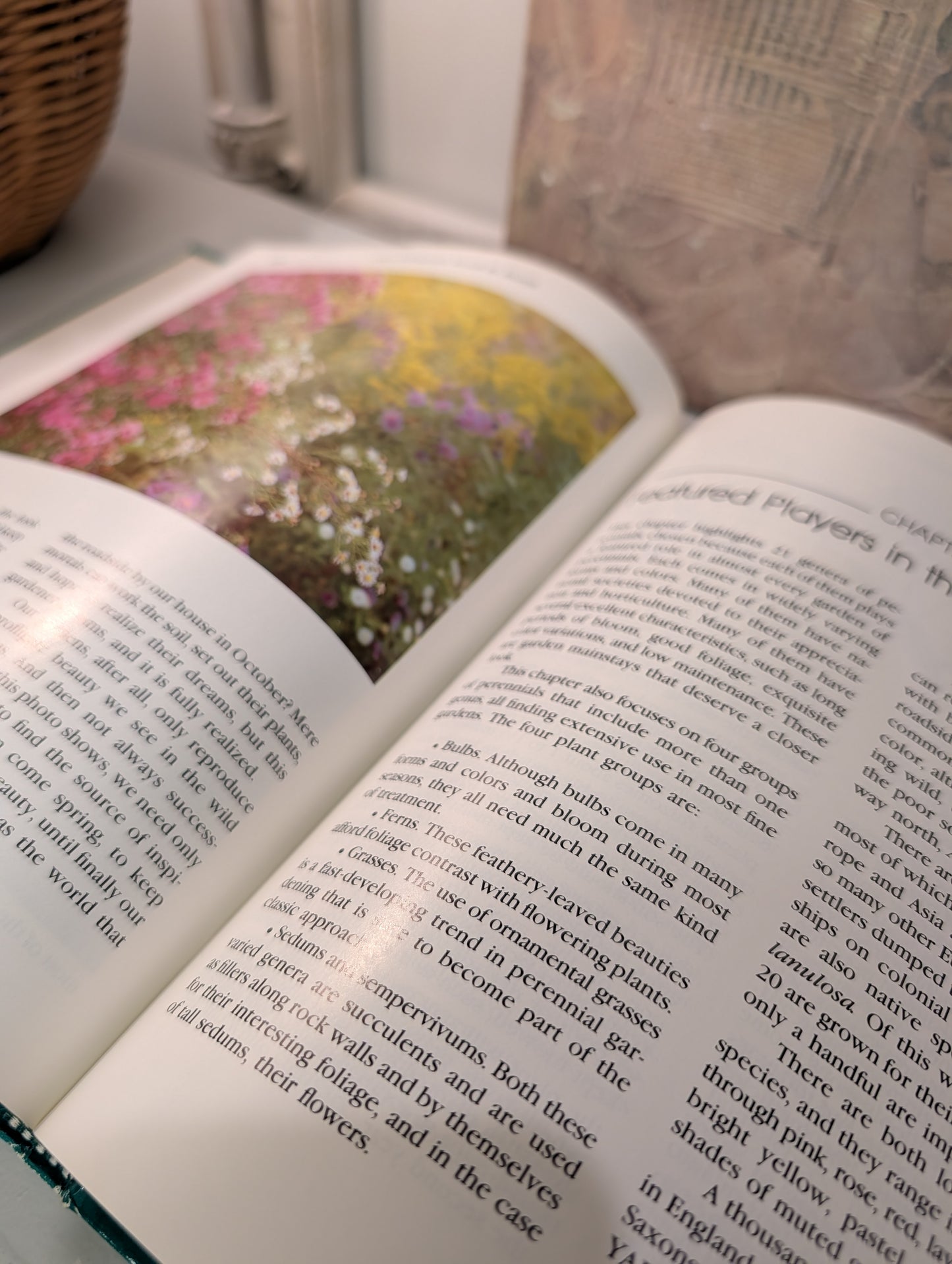 Hardback Garden Book
