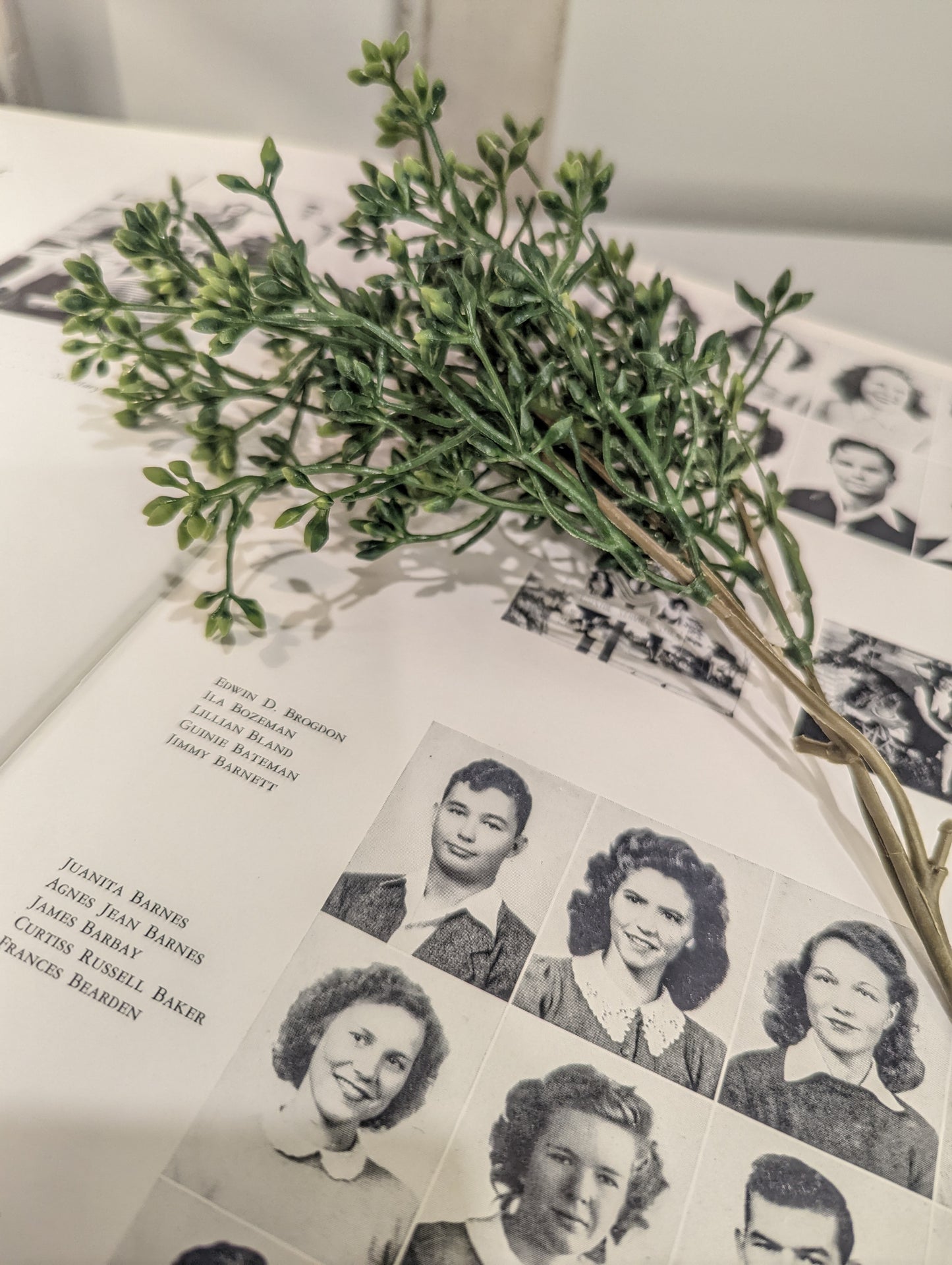 Vintage Pelican Year Book