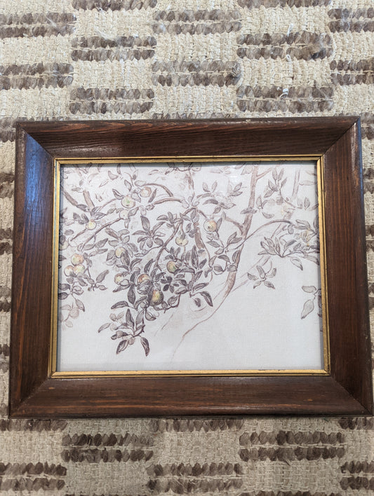 Apple Tree Print in Wood Frame (8x10)