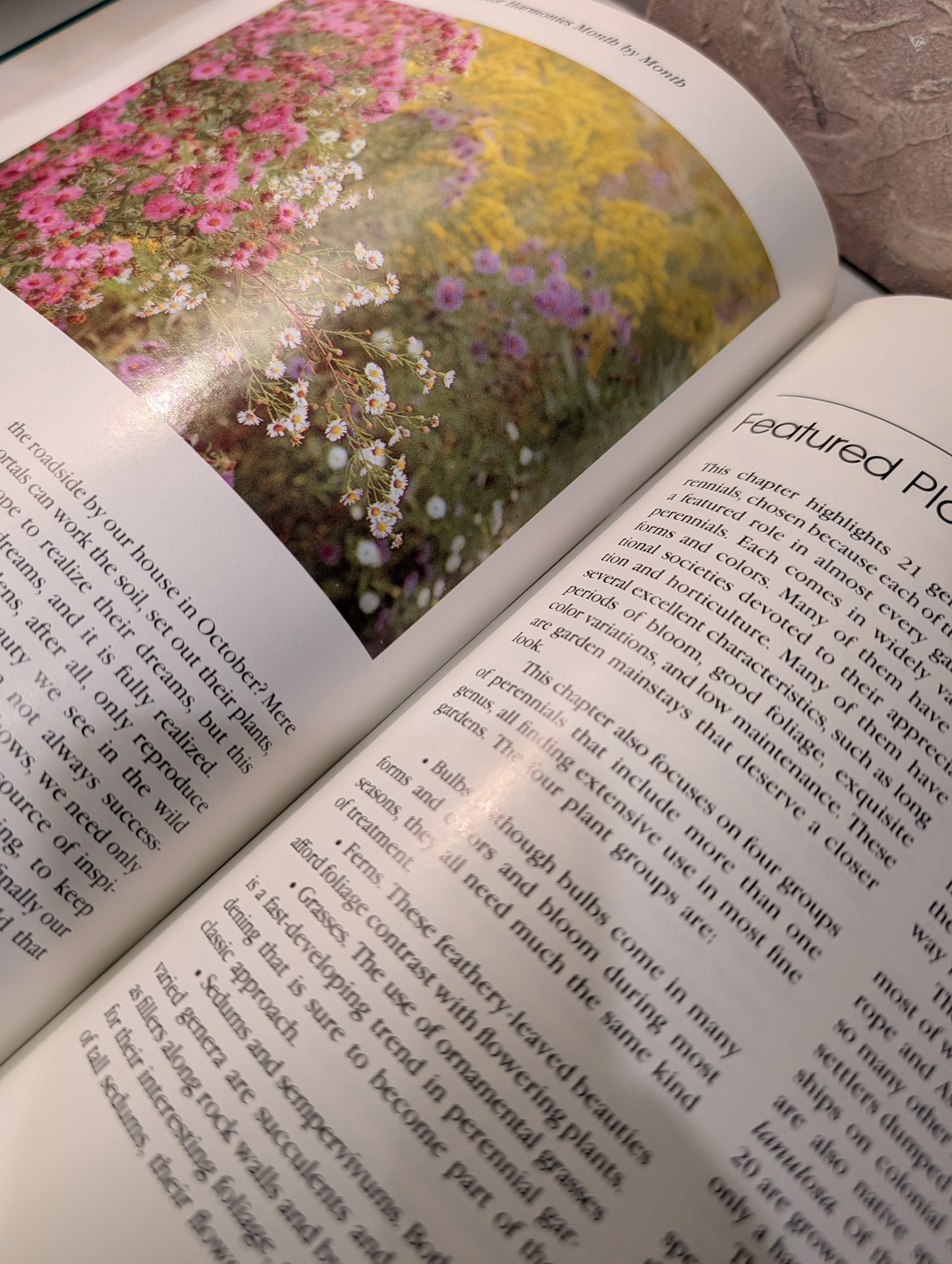 Hardback Garden Book
