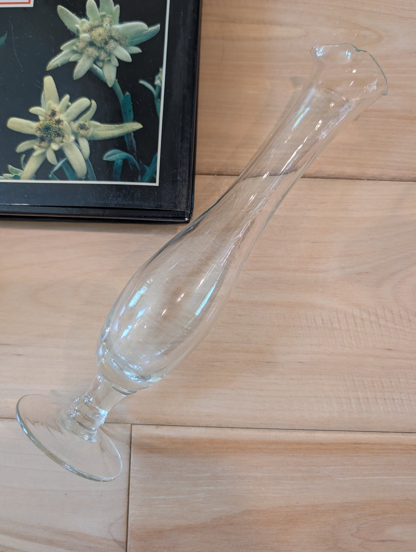 Clear Glass Bud Vase