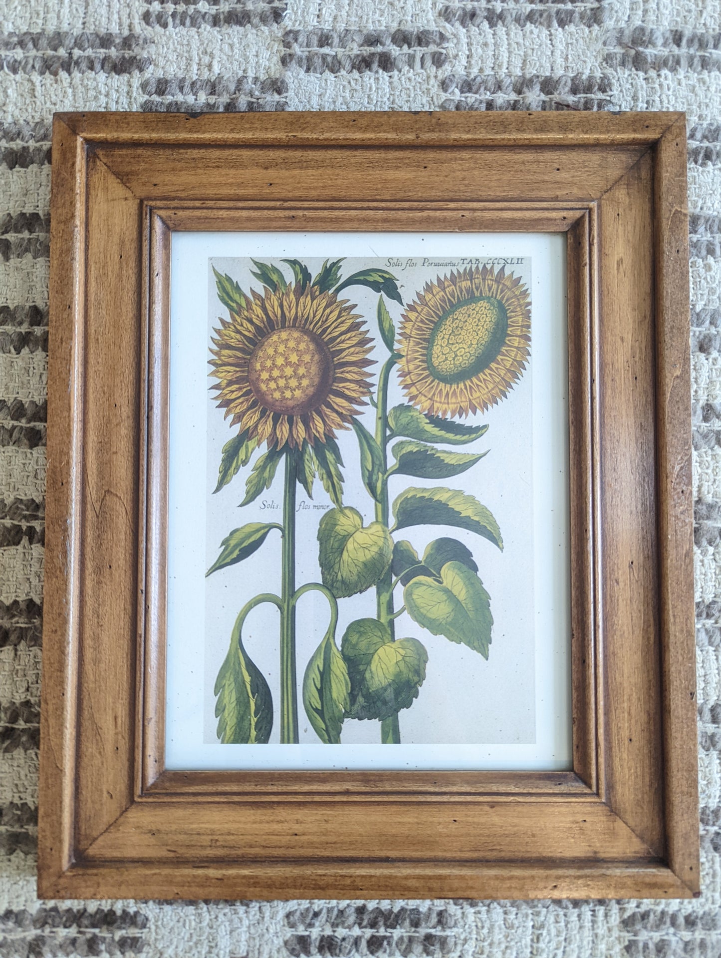 Sunflowers 🌻 in Wood Frame (8x10)