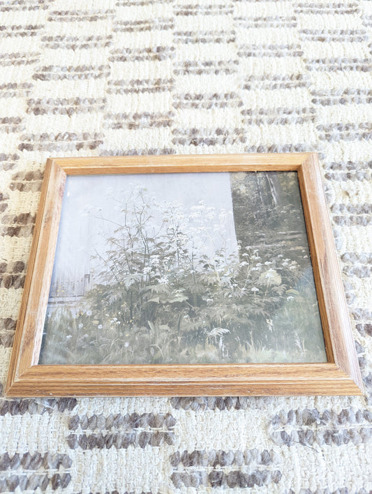 White Flowers in Wood Frame 8x10