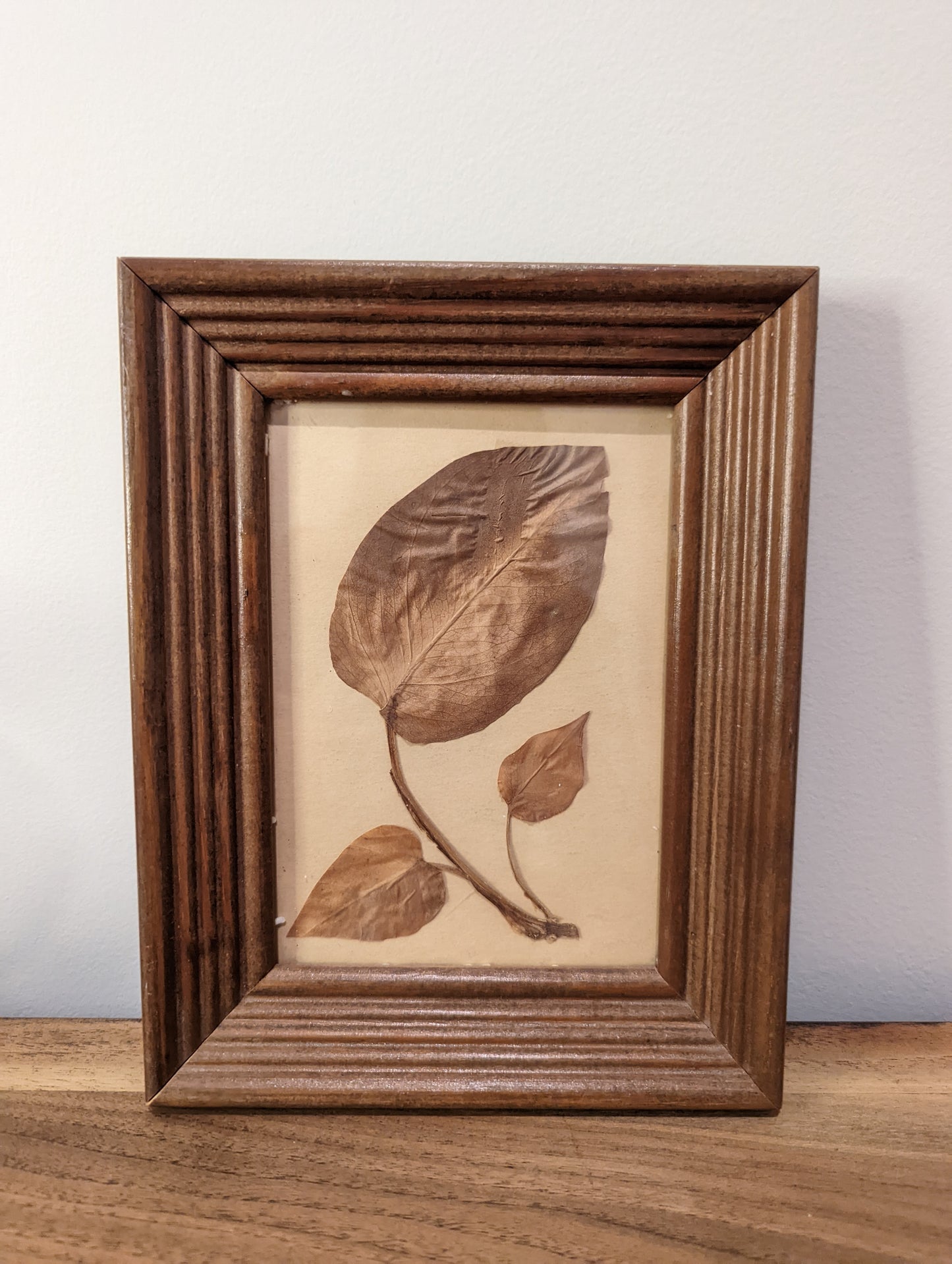 Leaf Print