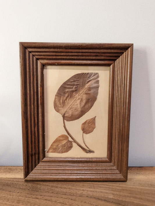 Leaf Print