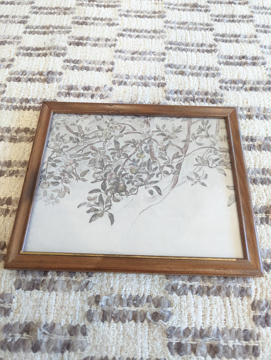 Apple Tree Branches in Wood Frame 8x10