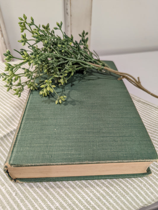 Green 💚 Vintage Book
