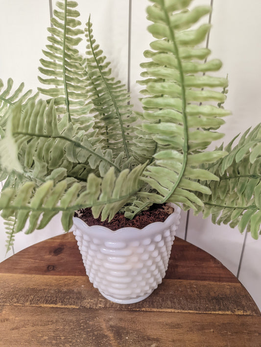 Fern in Milk Glass Vase