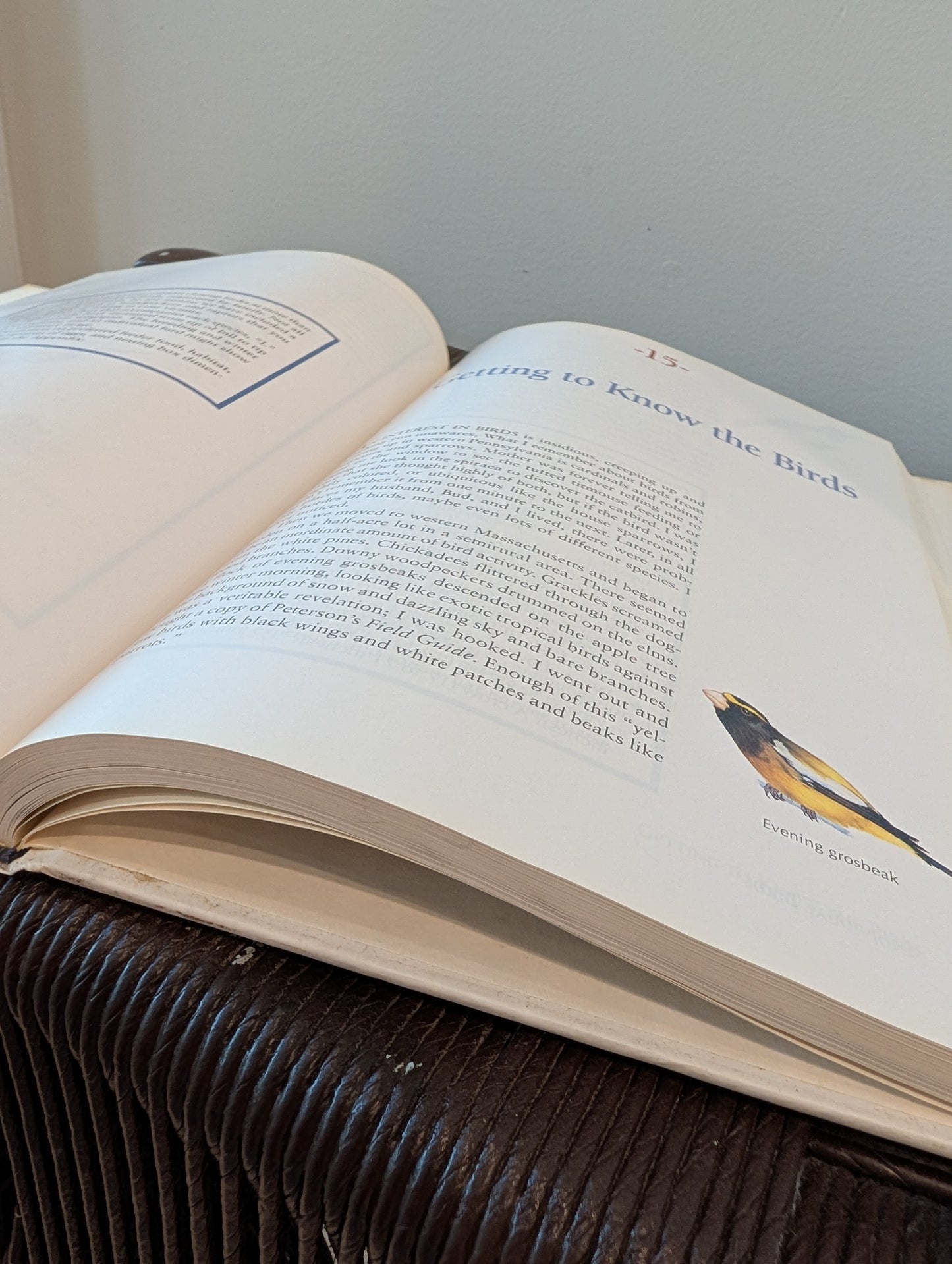 Backyard Bird Lovers Book