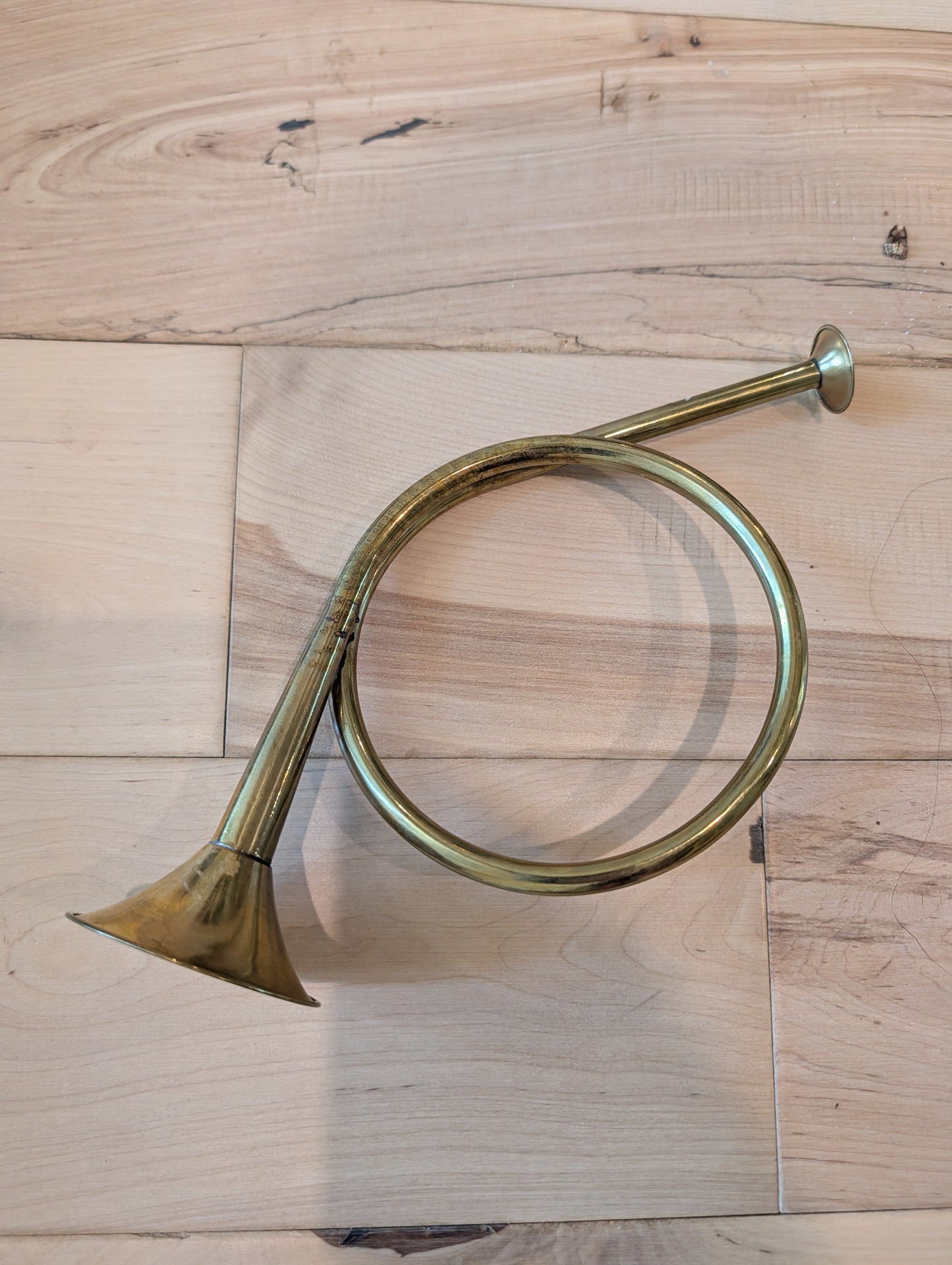 Trumpet 🎺 Decor