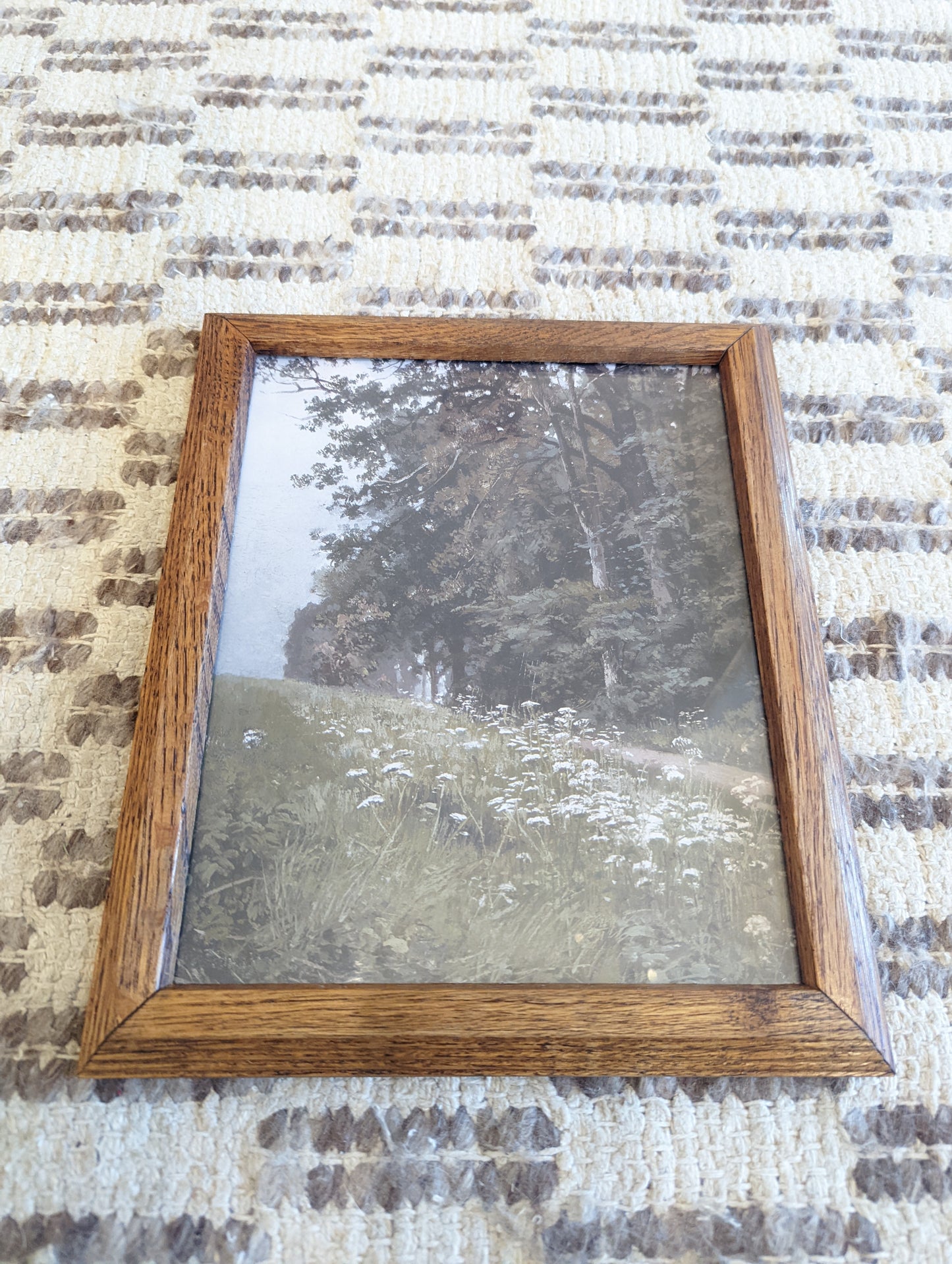 White Flowers in a Field (8x10)